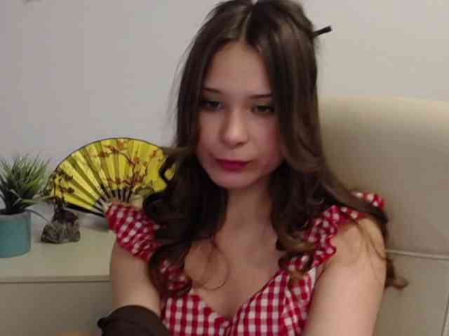 LanaSensitive webcam