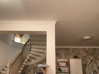 AngelicFenix Porn Show