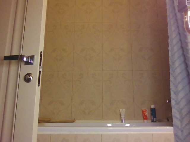 AngelicFenix's BongaCams show and profile