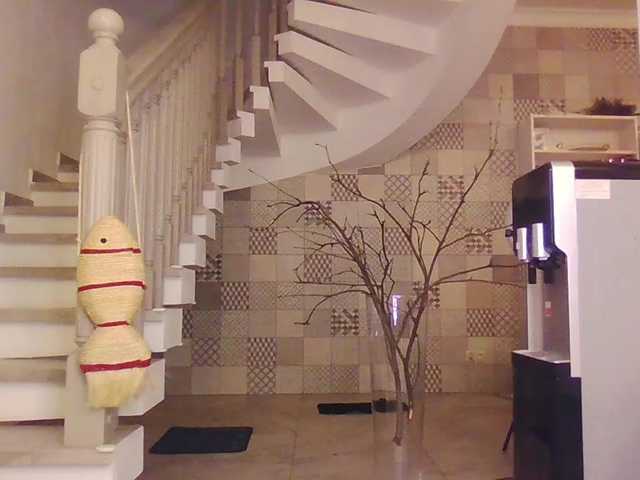 AngelicFenix's BongaCams show and profile