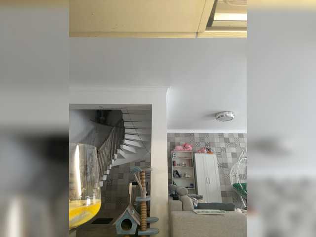 AngelicFenix's BongaCams show and profile