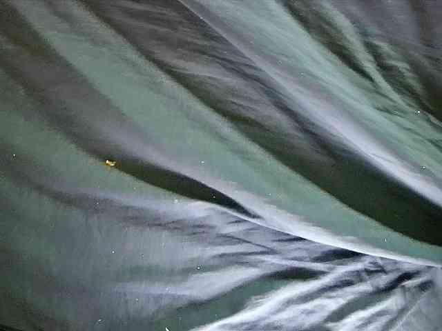 chubby-cherry webcam