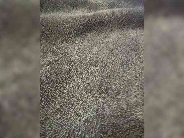 the-secret-room1 Live Webcam on BongaCams