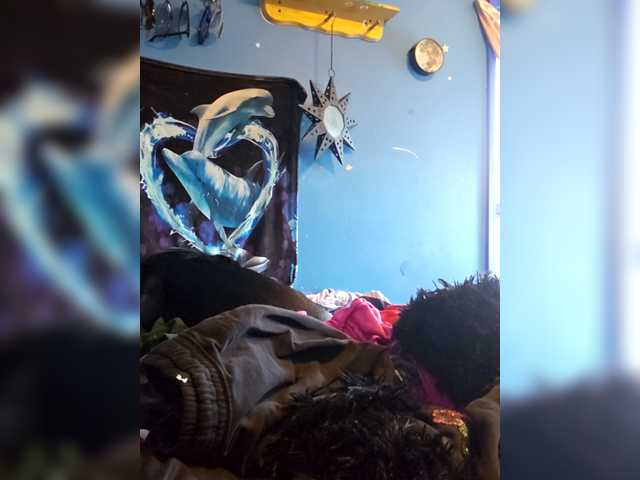 Lilrandcandy77 from BongaCams is Freechat