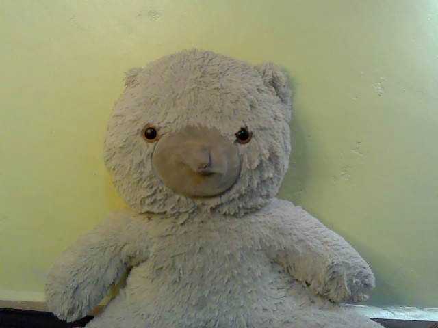 Ebonylee1 from BongaCams is Freechat