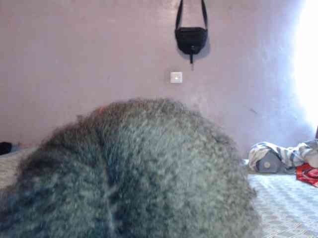 Petitecaramell webcam