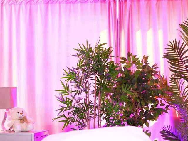 ExoticTala's BongaCams show and profile