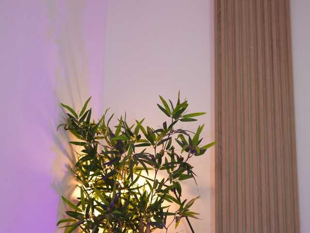 ExoticTala from BongaCams is Freechat