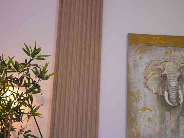 ExoticTala ExoticTala