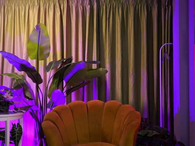 DelilahRayn's BongaCams show and profile