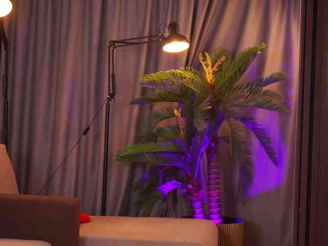 DelilahRayn DelilahRayn