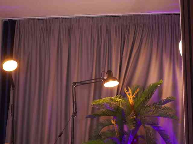 DelilahRayn DelilahRayn