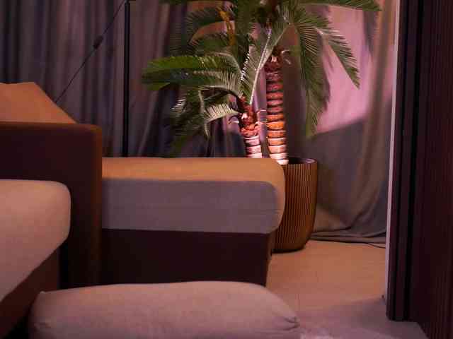 DelilahRayn DelilahRayn