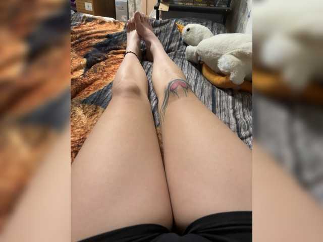 kismet-1 from BongaCams is Freechat