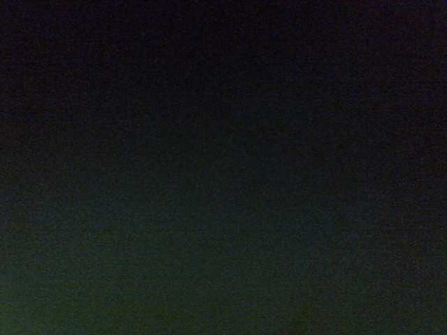 Sweet Camomile (Sweet-camomile)