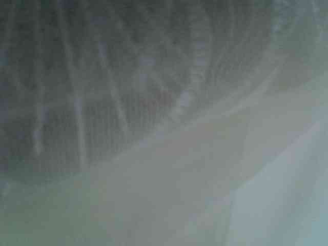 Sweet-camomile webcam