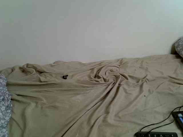 Sweet-camomile webcam