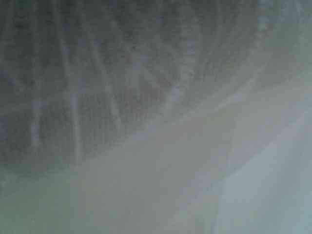 Sweet-camomile webcam