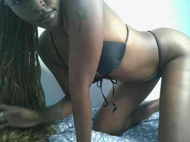 Sweet-camomile Sweet-camomile