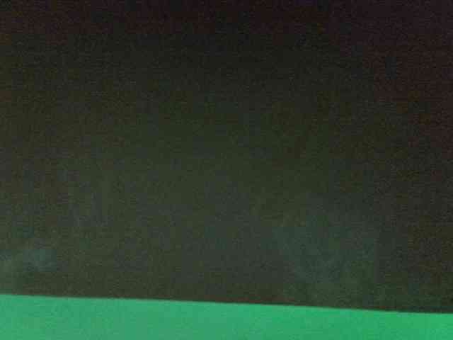 Sweet-camomile webcam