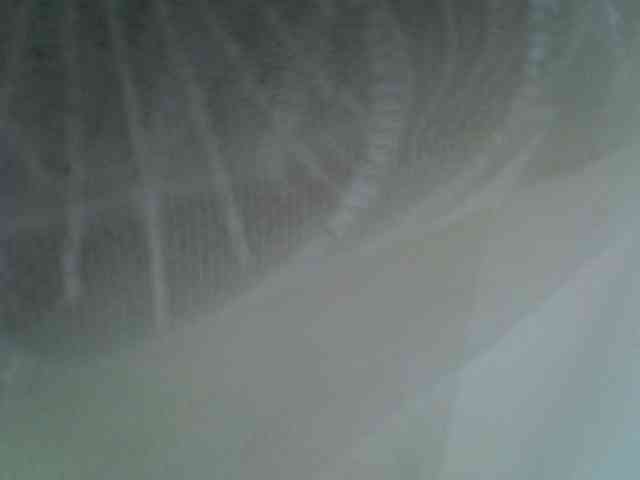 Sweet-camomile Sweet-camomile