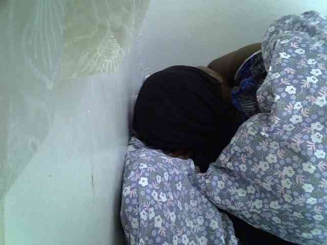 Sweet-camomile webcam