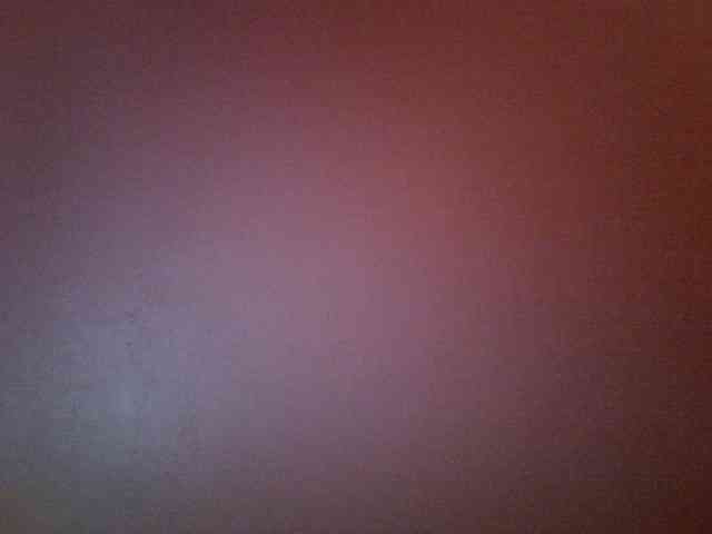 Sweet-camomile webcam