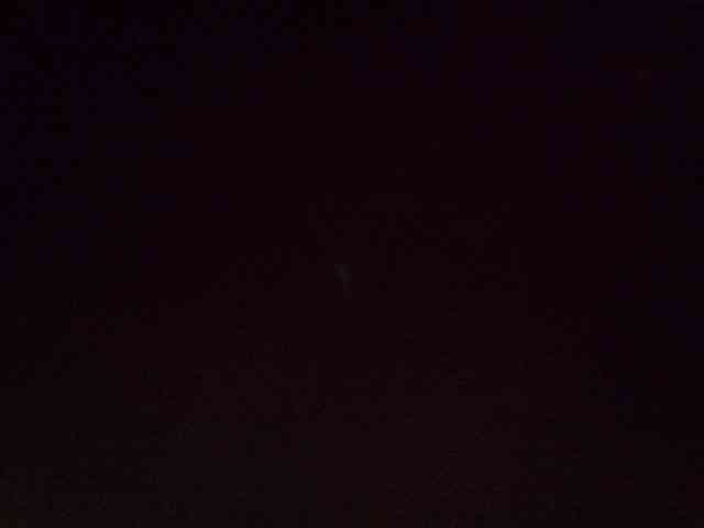 Sweet-camomile webcam