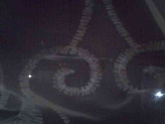 Sweet-camomile webcam