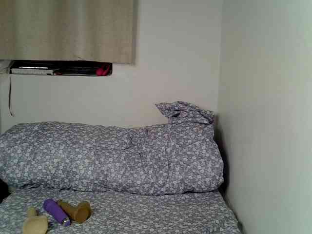 Sweet-camomile webcam