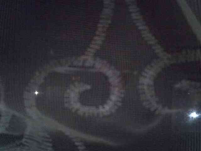 Sweet-camomile webcam