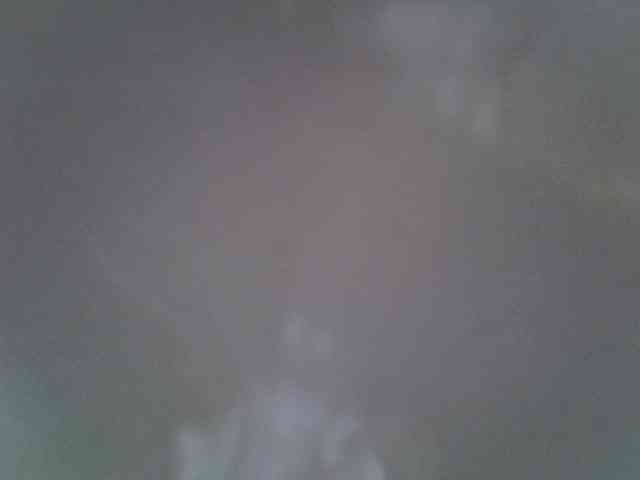 Sweet-camomile webcam