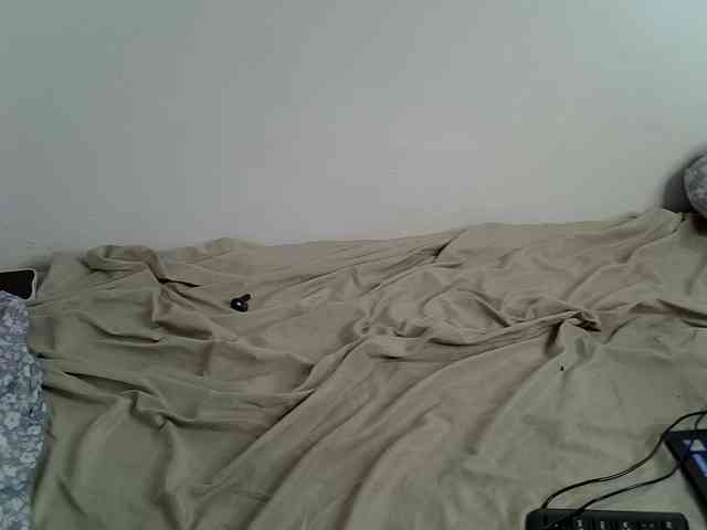 Sweet-camomile webcam