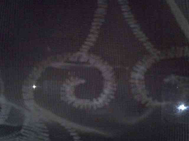 Sweet-camomile webcam