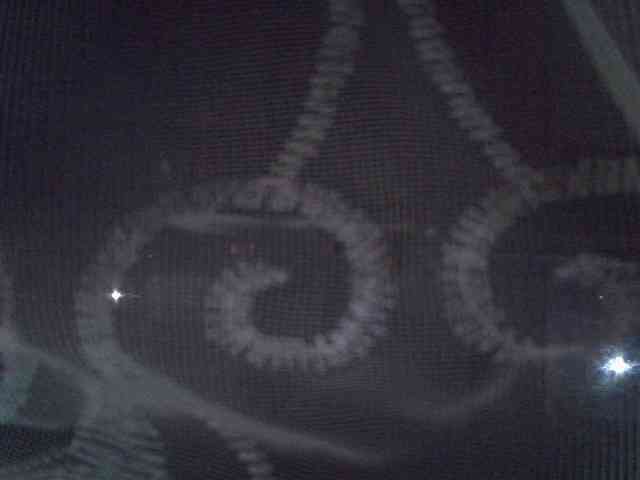 Sweet-camomile webcam