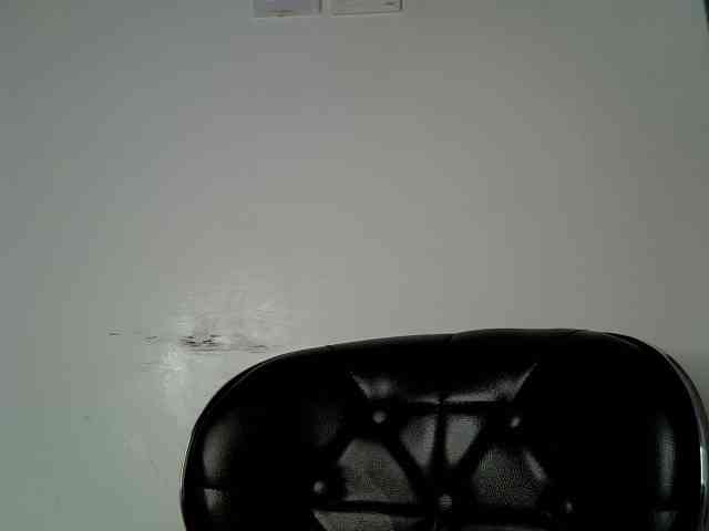 Sweet-camomile webcam