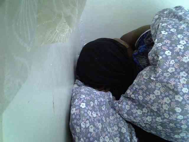 Sweet-camomile webcam