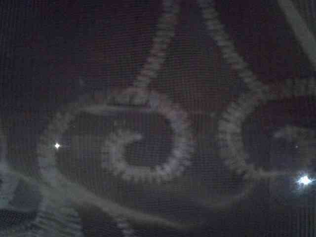 Sweet-camomile webcam