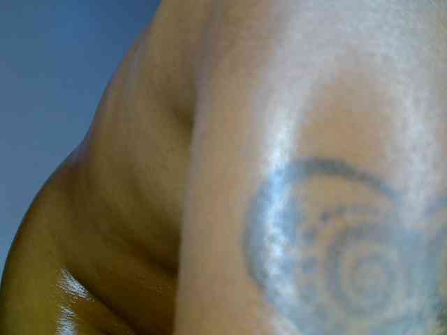 Sweet-camomile webcam