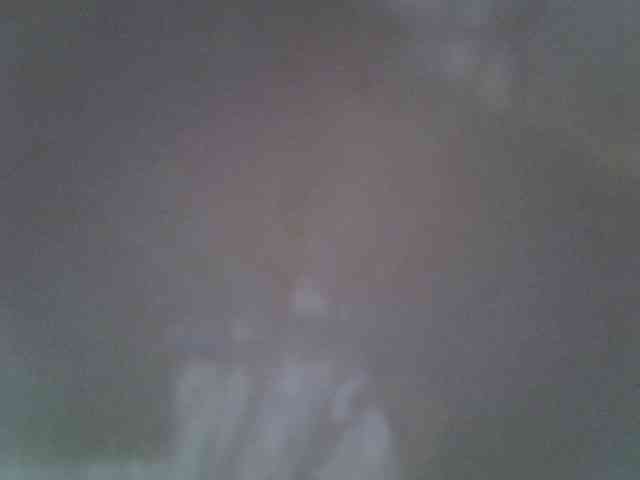 Sweet-camomile webcam