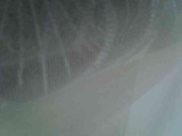 Sweet-camomile webcam