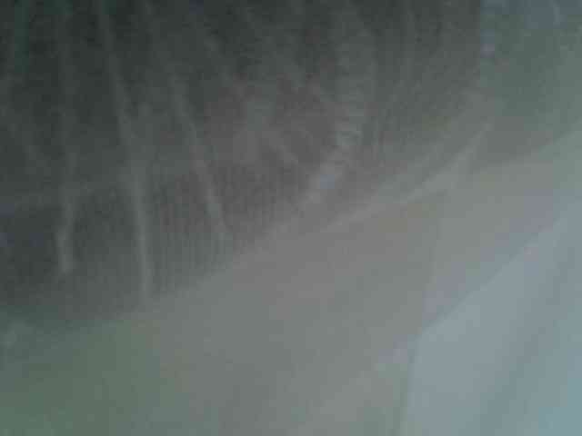 Sweet-camomile webcam