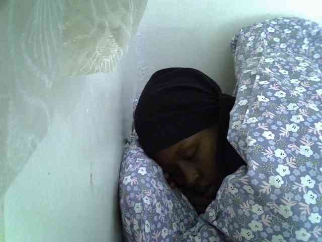 Sweet-camomile webcam