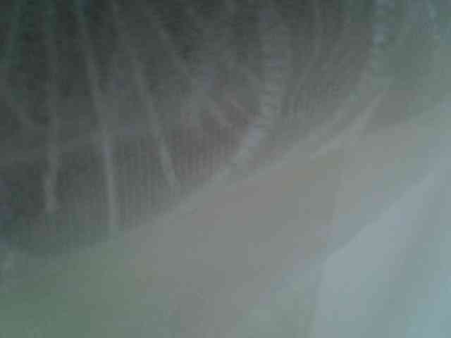 Sweet-camomile webcam