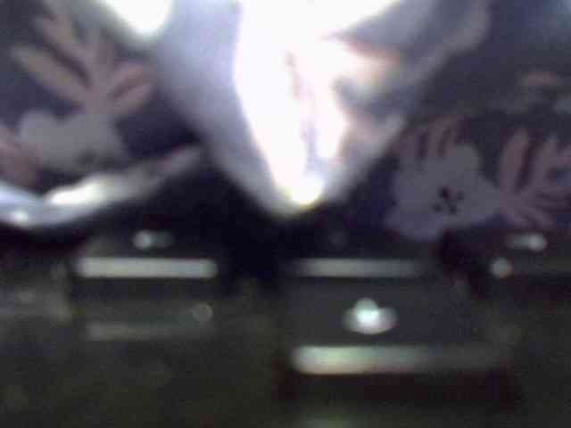 Sweet-camomile webcam