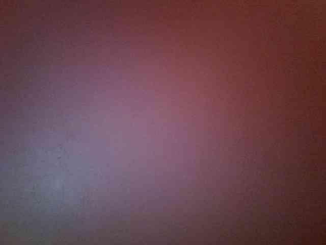 Sweet-camomile webcam