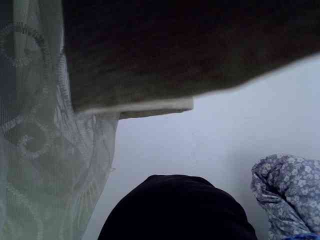 Sweet-camomile webcam