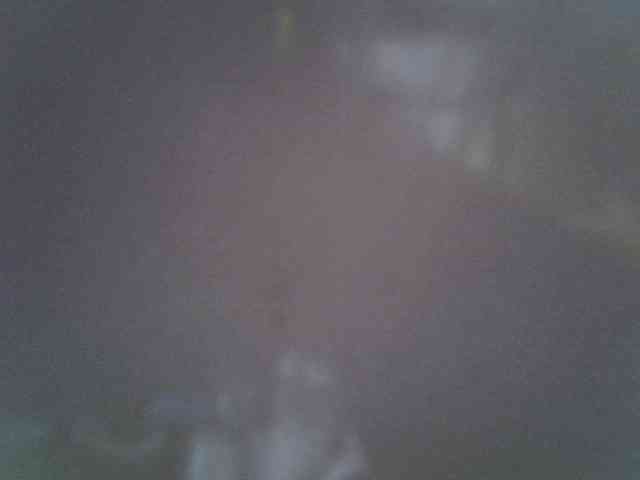 Sweet-camomile webcam