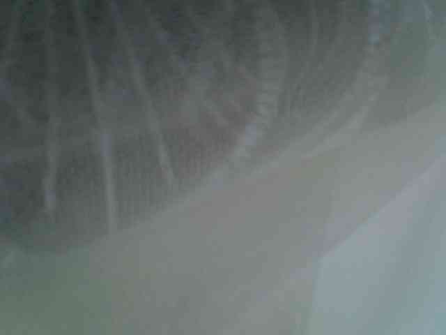 Sweet-camomile webcam