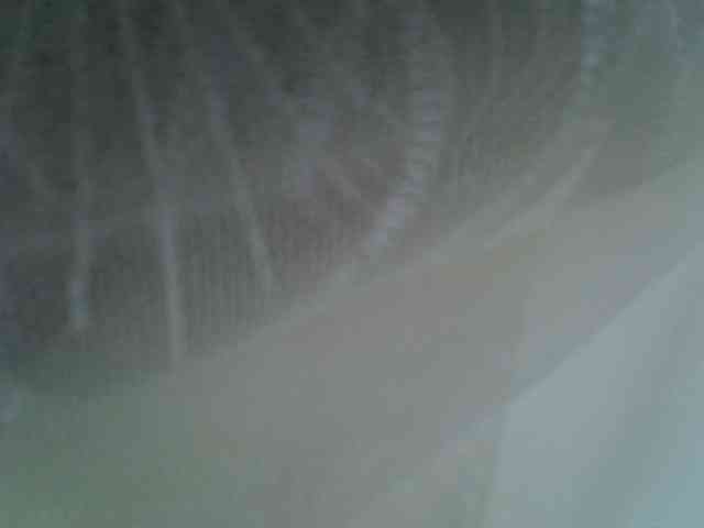 Sweet-camomile webcam